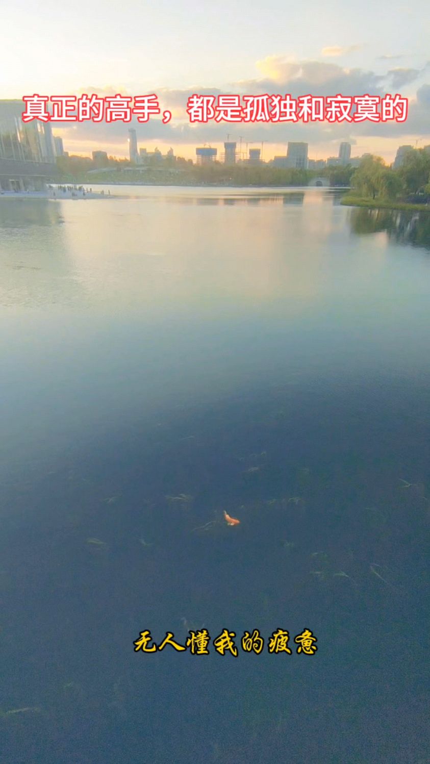 炒股的人,都是孤独的