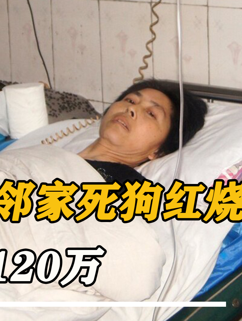 女人偷邻家死狗“红烧”,吃完皮肤溃烂溃脓,反要120万赔偿