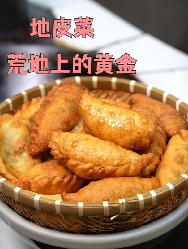 雨后的荒山,藏着真正的人间美味,地皮菜唯一的缺点就是不好洗