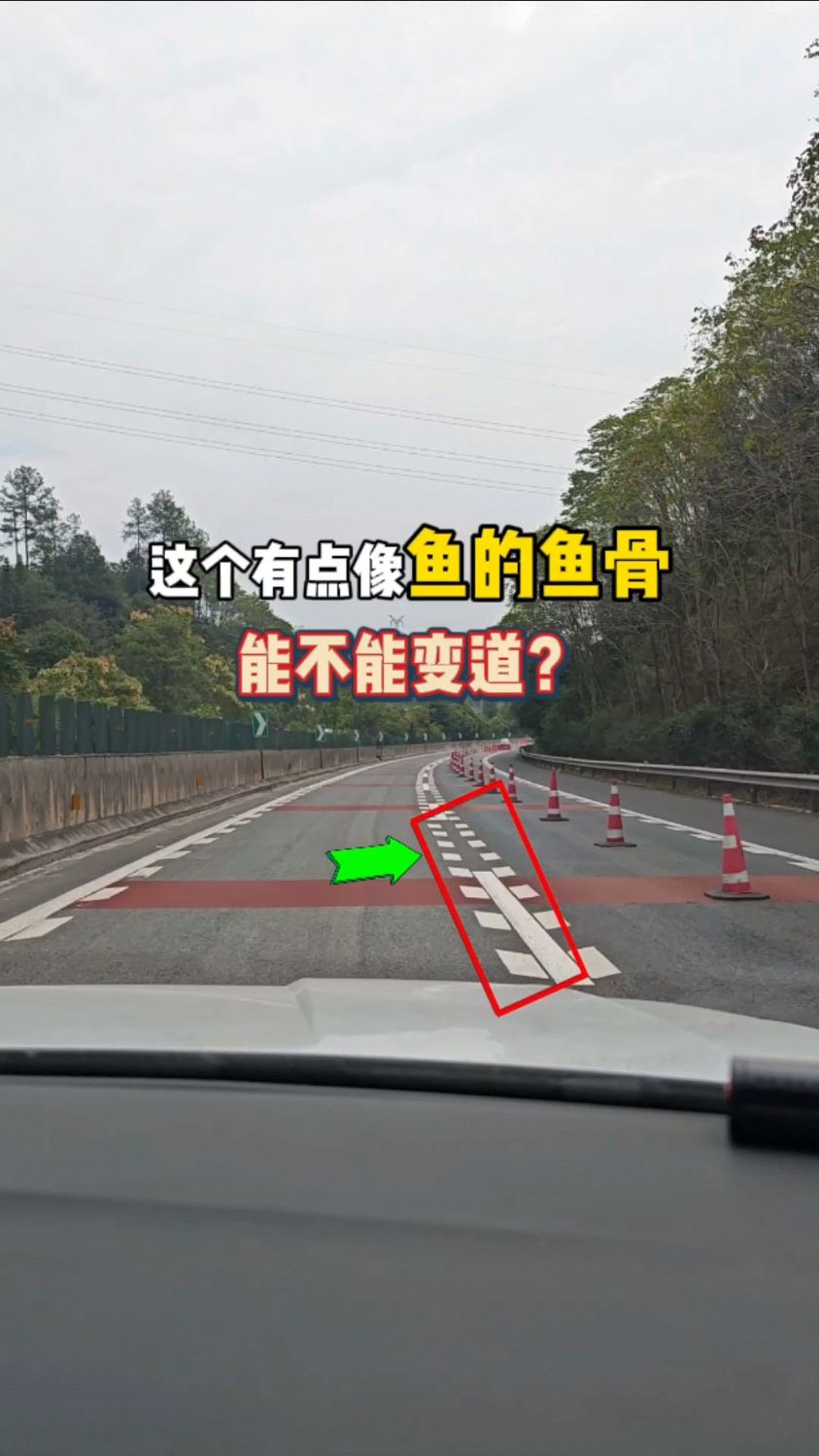 这种有点像鱼的鱼骨,能不能变道?新手朋友要明白