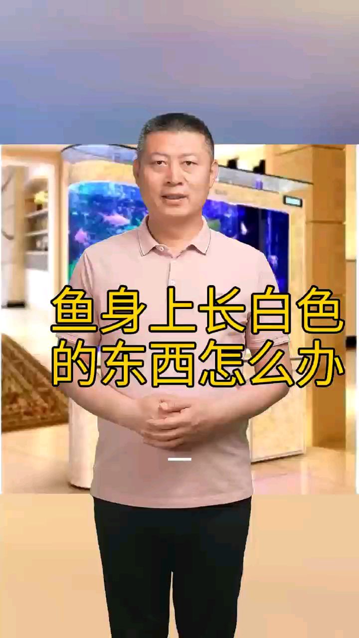 鱼身上长白色的东西怎么办