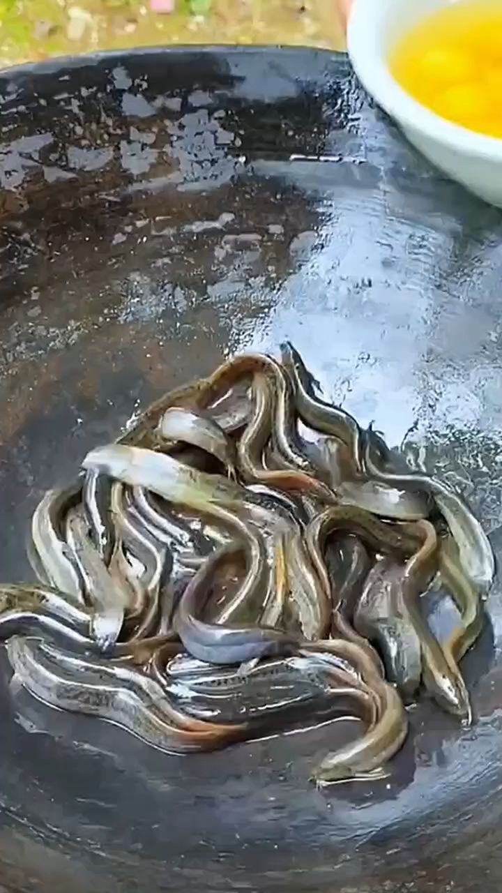 泥鳅鱼的新做法。