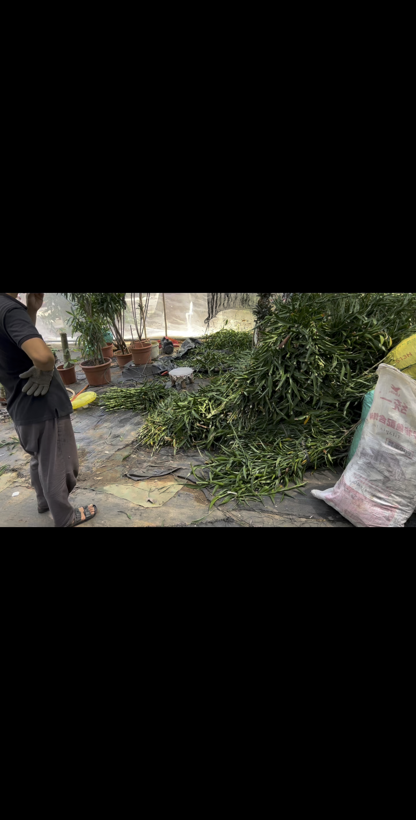 今天讨论的话题是苹果的价格,你们买的苹果都多少钱一斤?