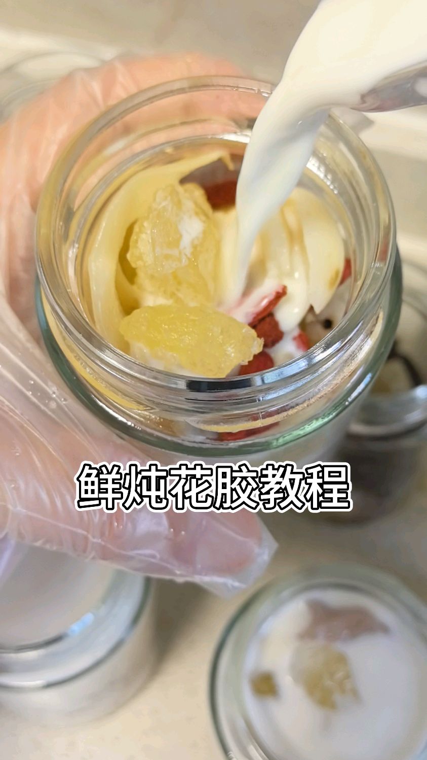 鲜炖花胶的教程来了