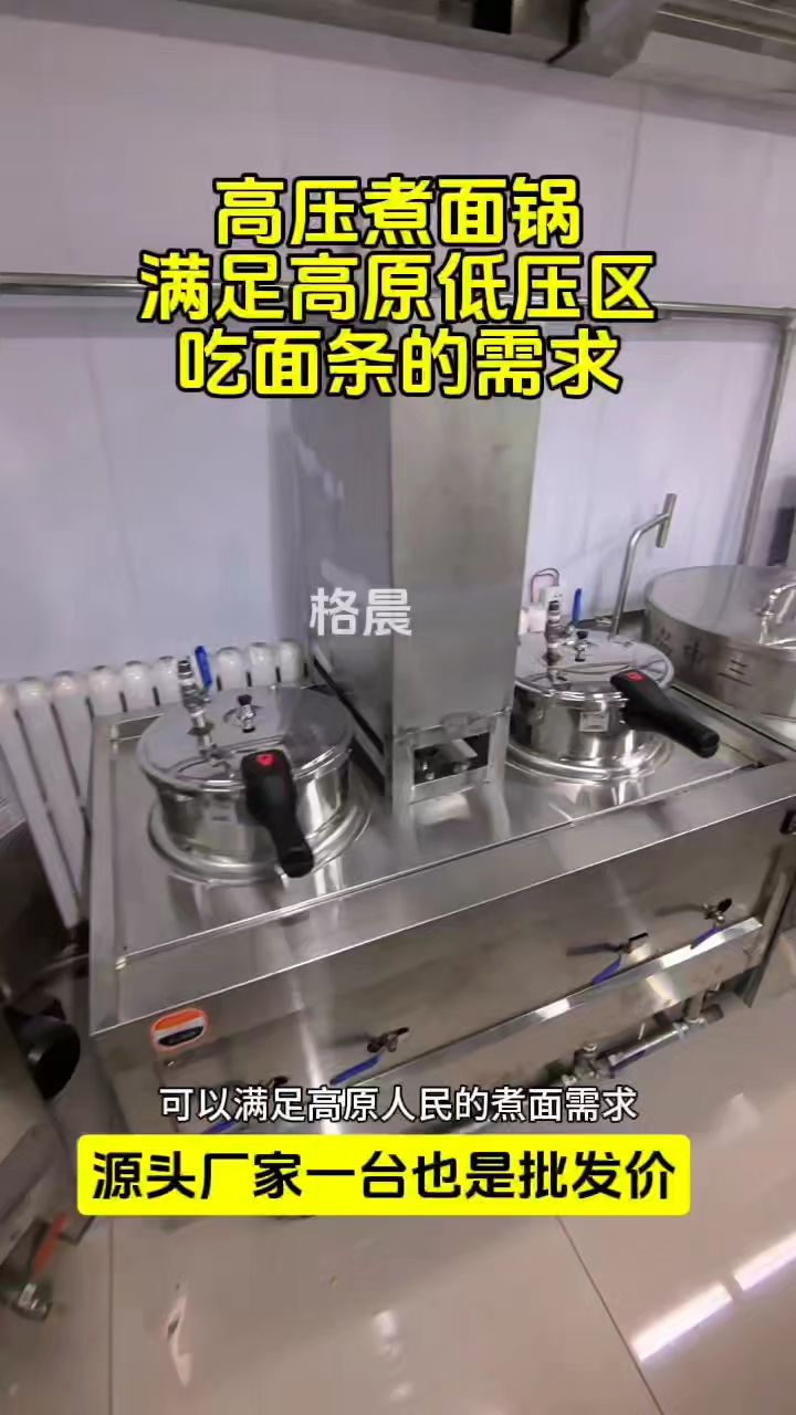 多功能高压煮面锅