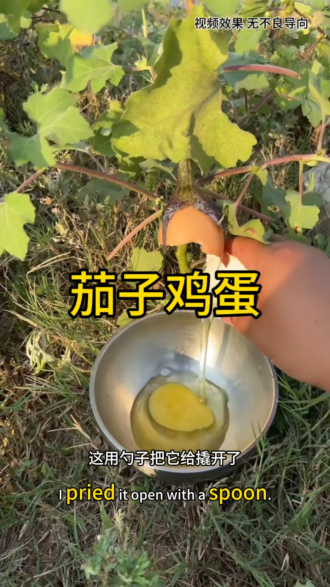 这是茄子鸡蛋吗?
