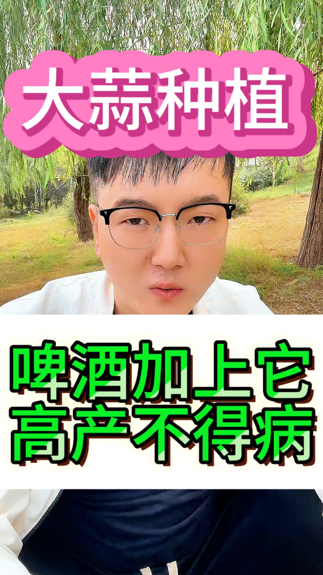大蒜种植大蒜高产