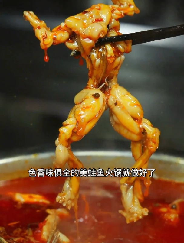 秋冬季节美蛙鱼火锅可以安排起了,像我这样在家做简单好吃