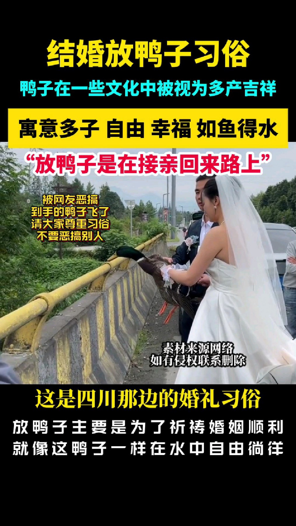 放鸭子结婚的习俗你见过吗?寓意多子多福呢!