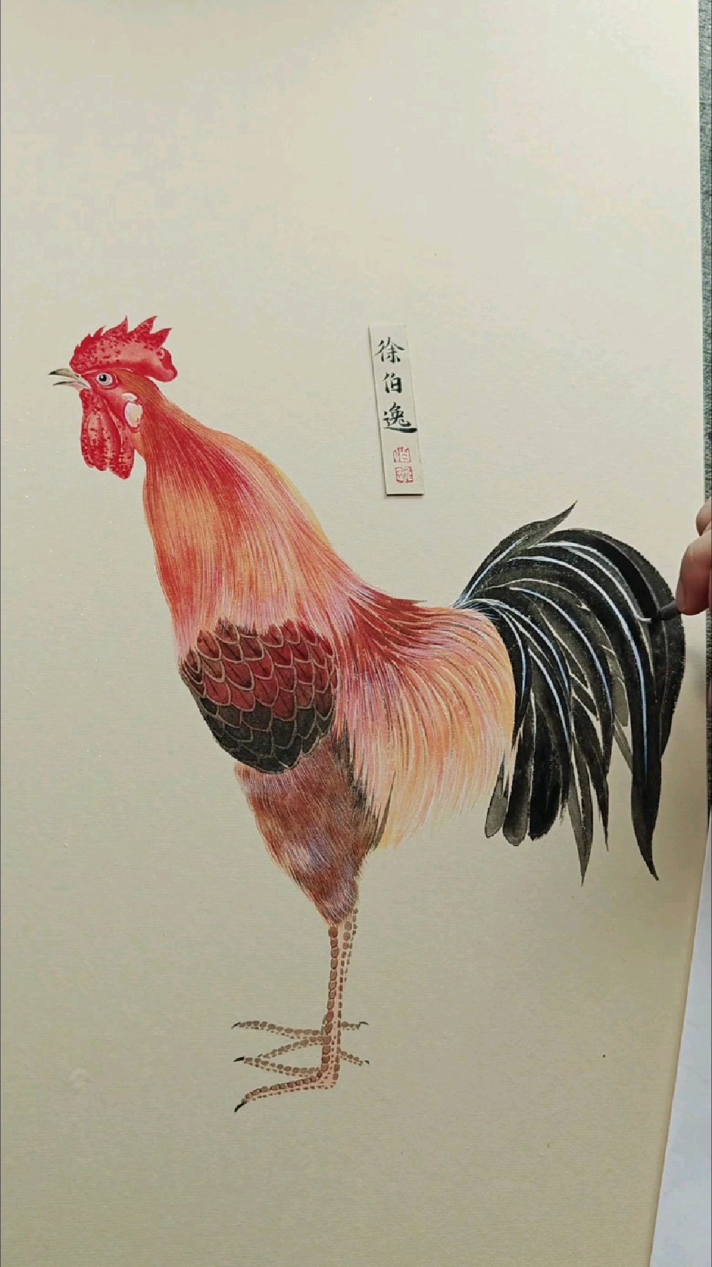画一只英俊潇洒的大公鸡