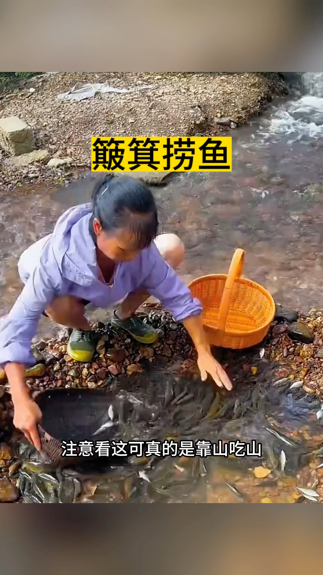 簸箕捞鱼,收获满满