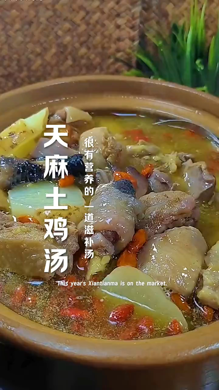 天麻炖鸡,一道很有营养的汤