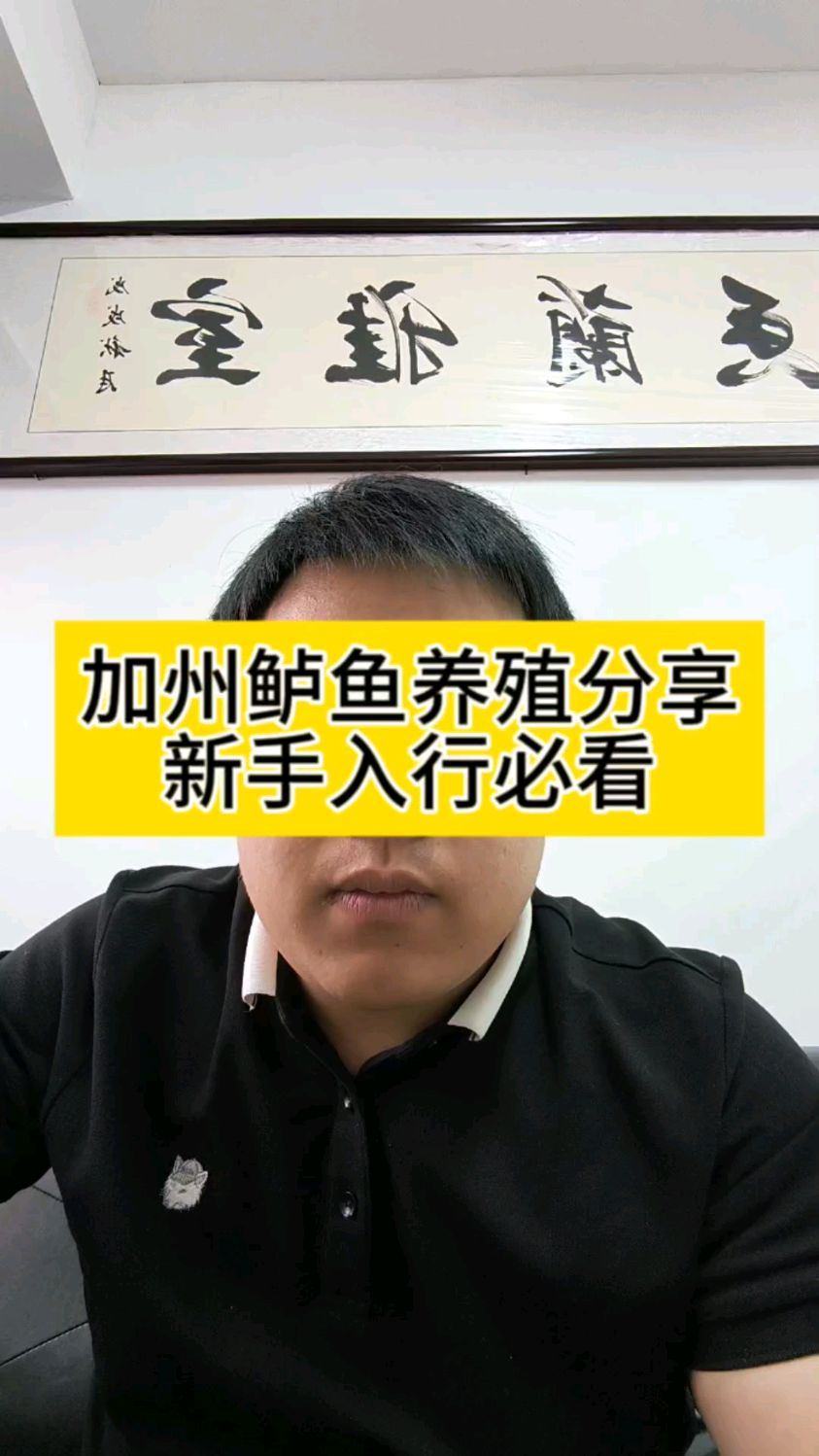 加州鲈鱼养殖分享新手入行必看