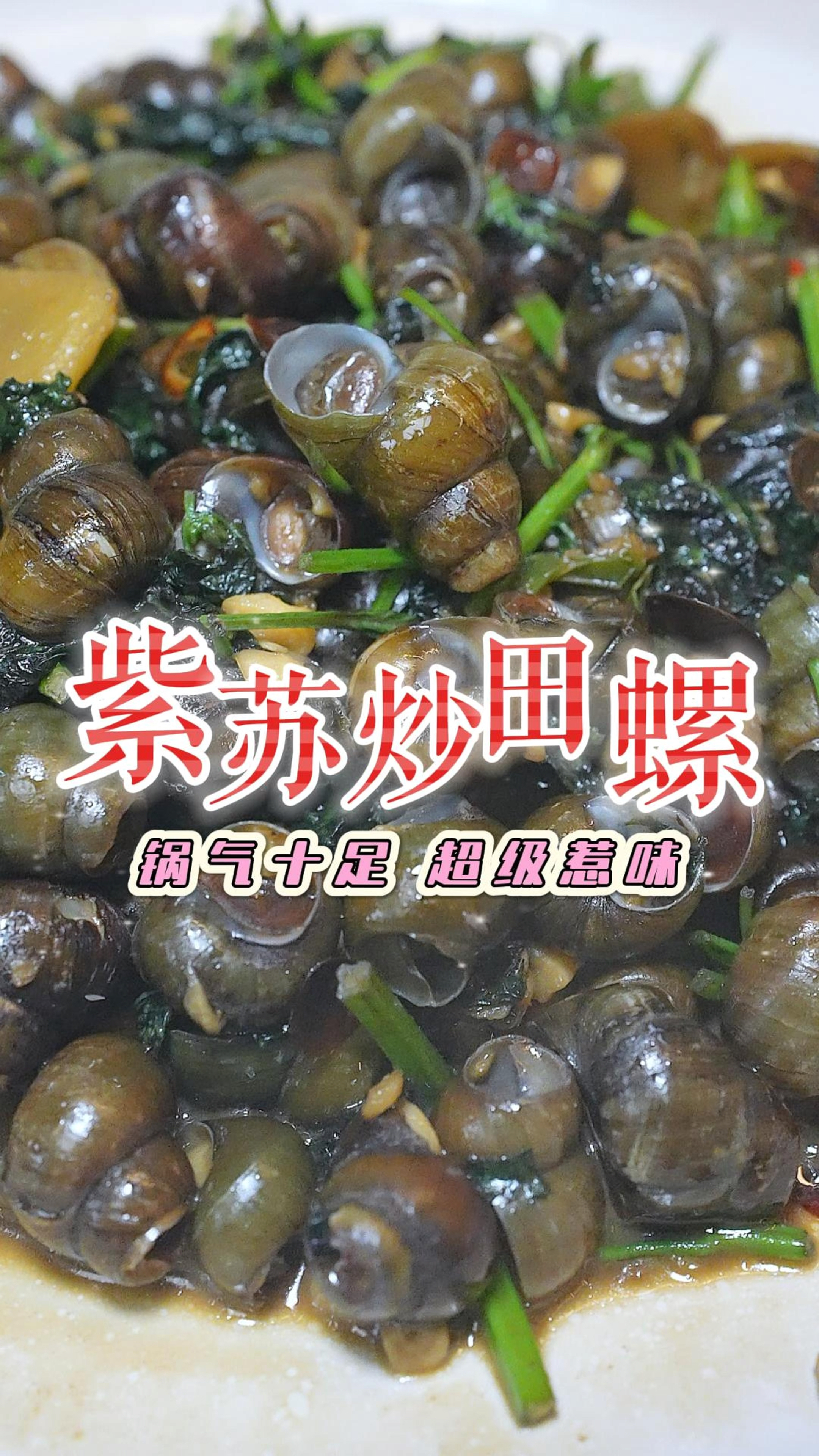 中秋过后的田螺特别肥美,炒了几十年的紫苏炒田螺经典又美味