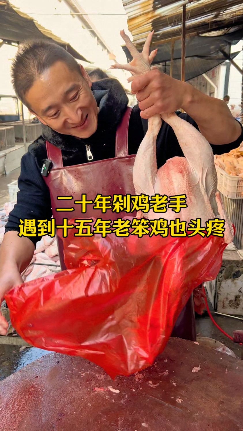 二十年剁鸡老手遇到十五年老笨鸡也头疼