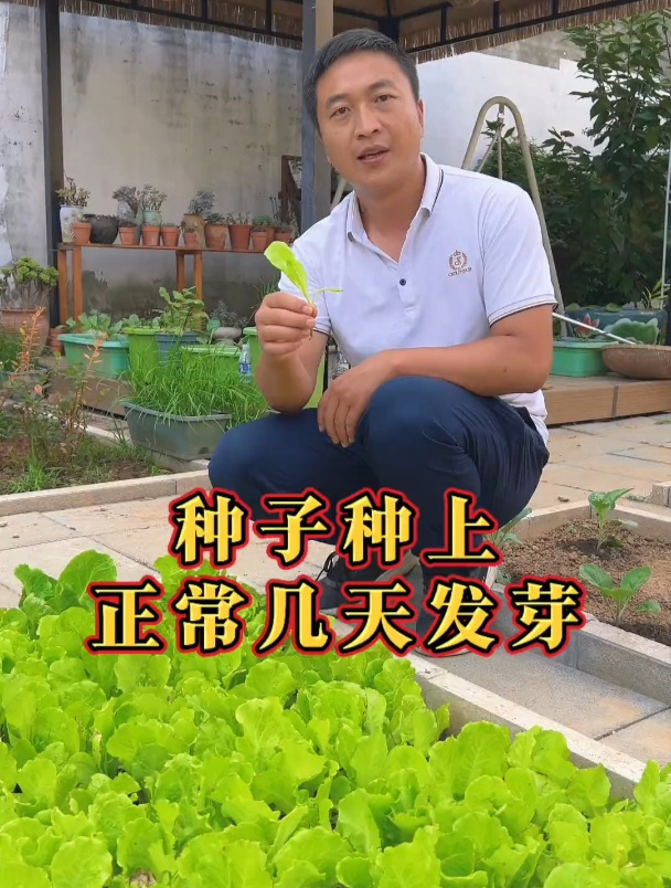 播种后种子,正常几天发芽