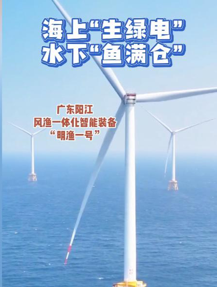 一套装备搞定发电和养鱼!“明渔一号”成功收鱼4万多公斤