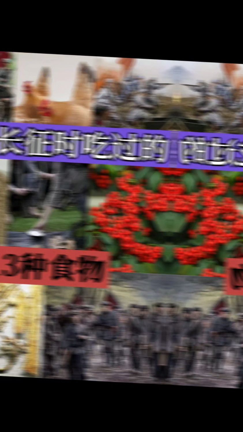 红军长征时吃的东西