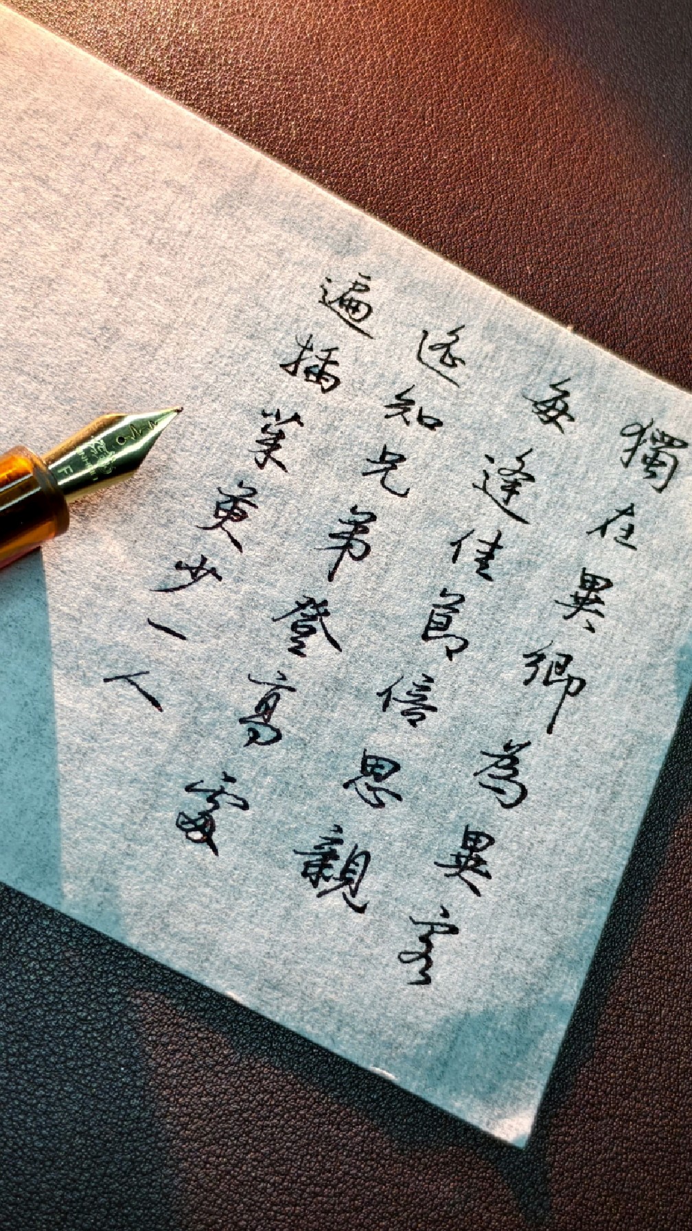 抄一首关于重阳节的诗