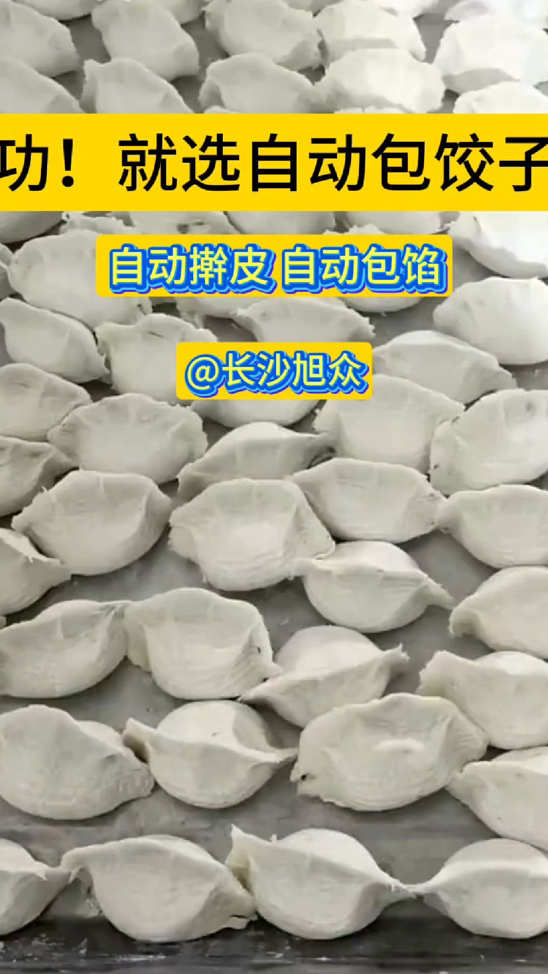 成功!就用这款全自动包饺子神器,机器操作简便,自带压面,擀皮