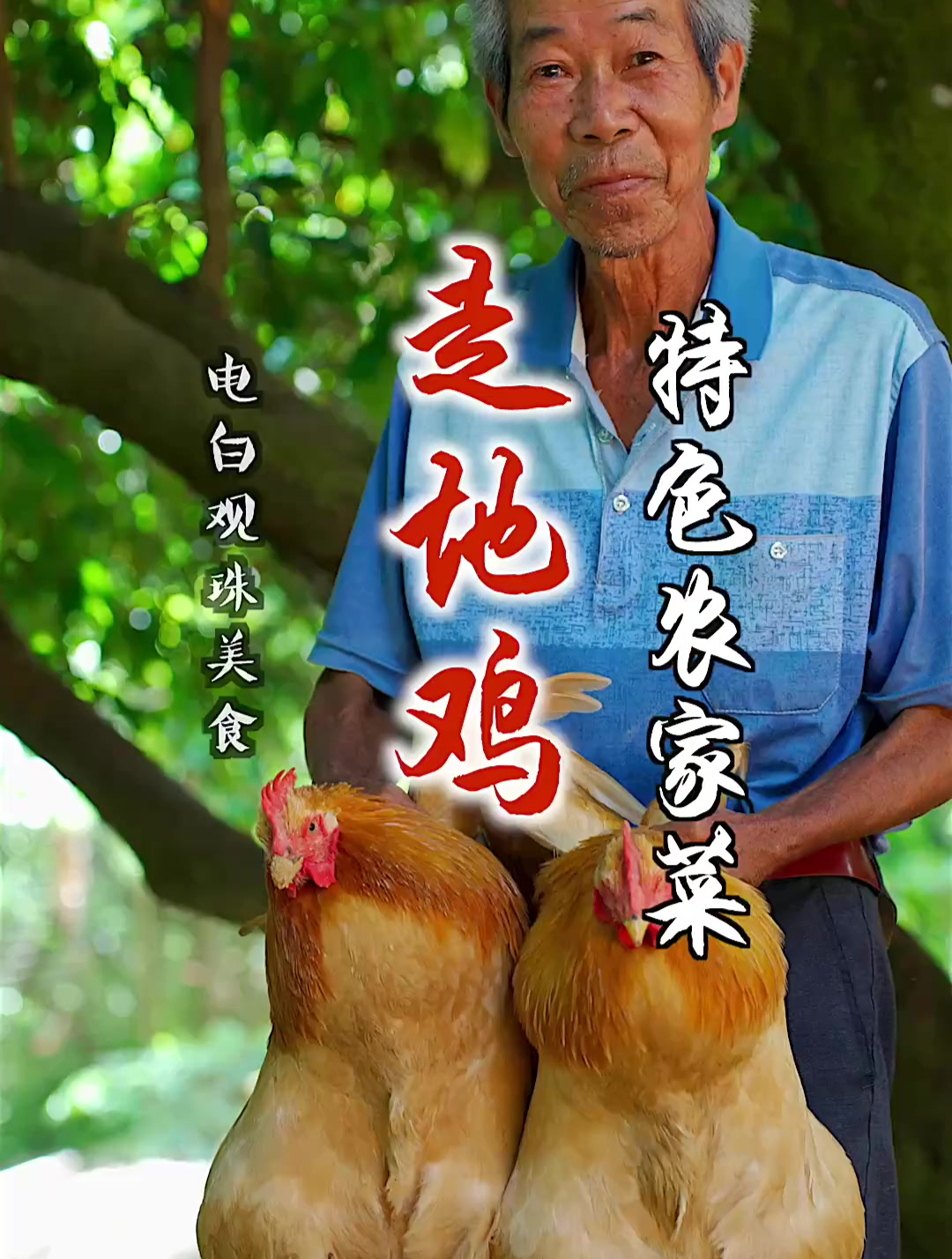 藏在茂名沈海高速观珠站的走地鸡饭店