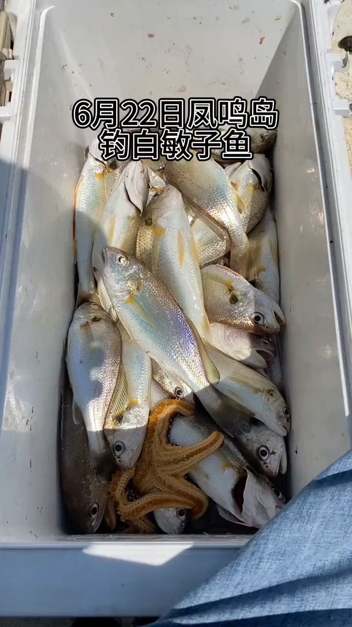 白敏子,也是爆箱了