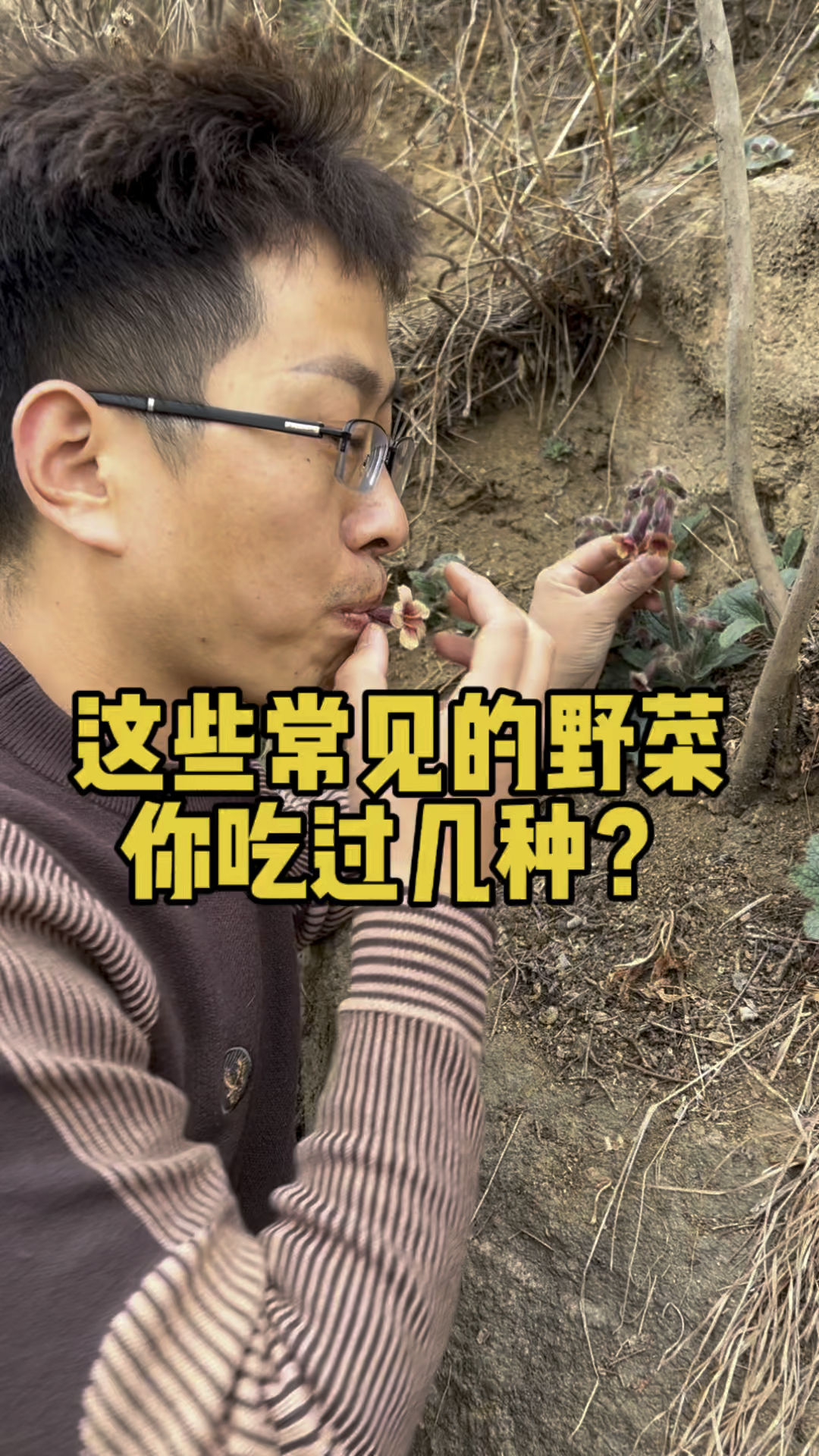 如果你的家乡还有这些野菜,那就好好珍惜吧,它是大自然给予我们