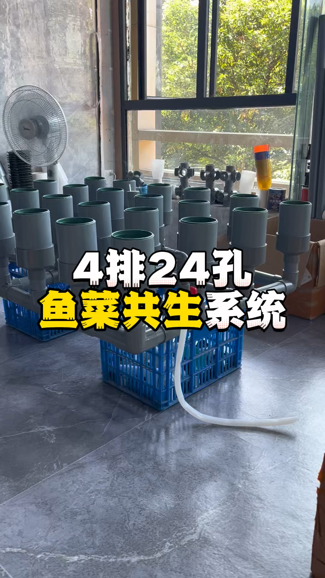 4排24孔鱼菜共生系统#鱼菜共生 #虹吸原理 #智慧农业 #种植小技巧