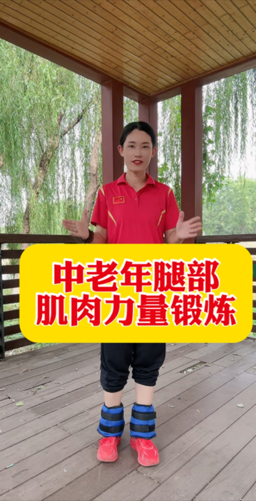 中老年腿部肌肉力量锻炼