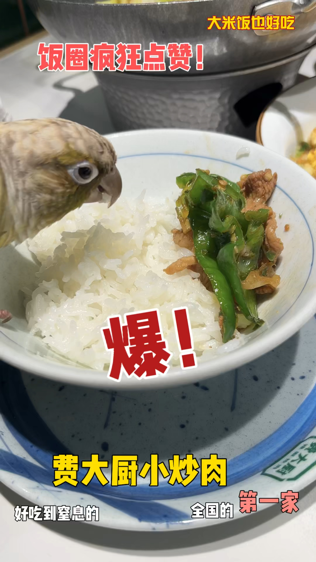 他家的米饭和小炒肉太配了!费大厨辣椒炒肉～