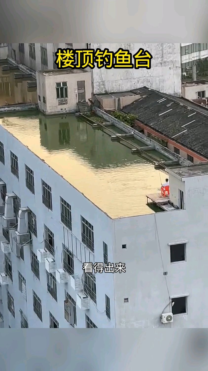 楼顶的钓鱼台,里面真的有鱼吗
