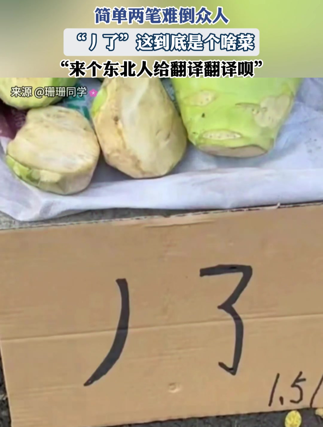“丿了”这到底是个啥菜,“来个东北人给翻译翻译呗”