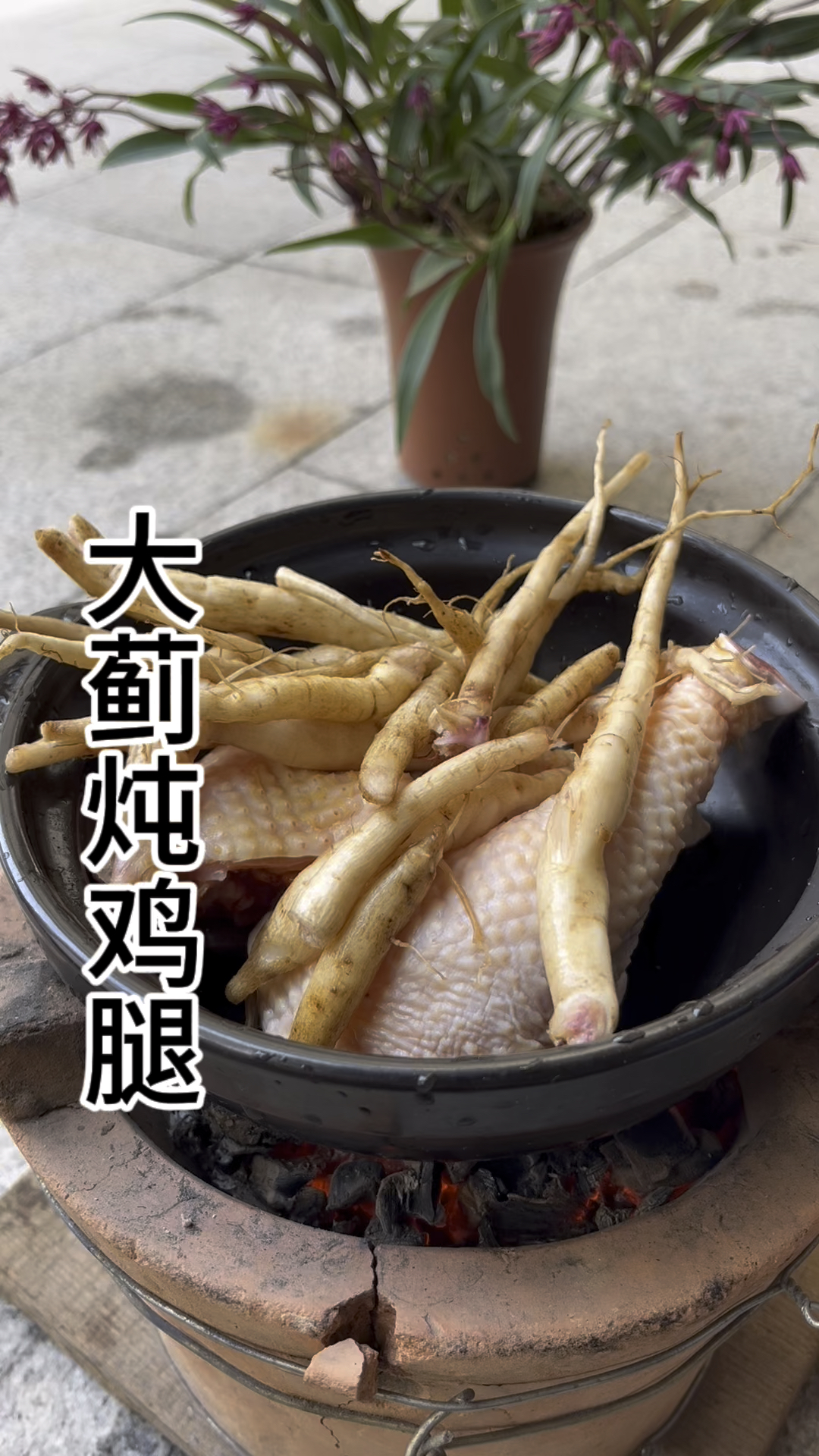 大蓟又叫水飞蓟,你了解它吗