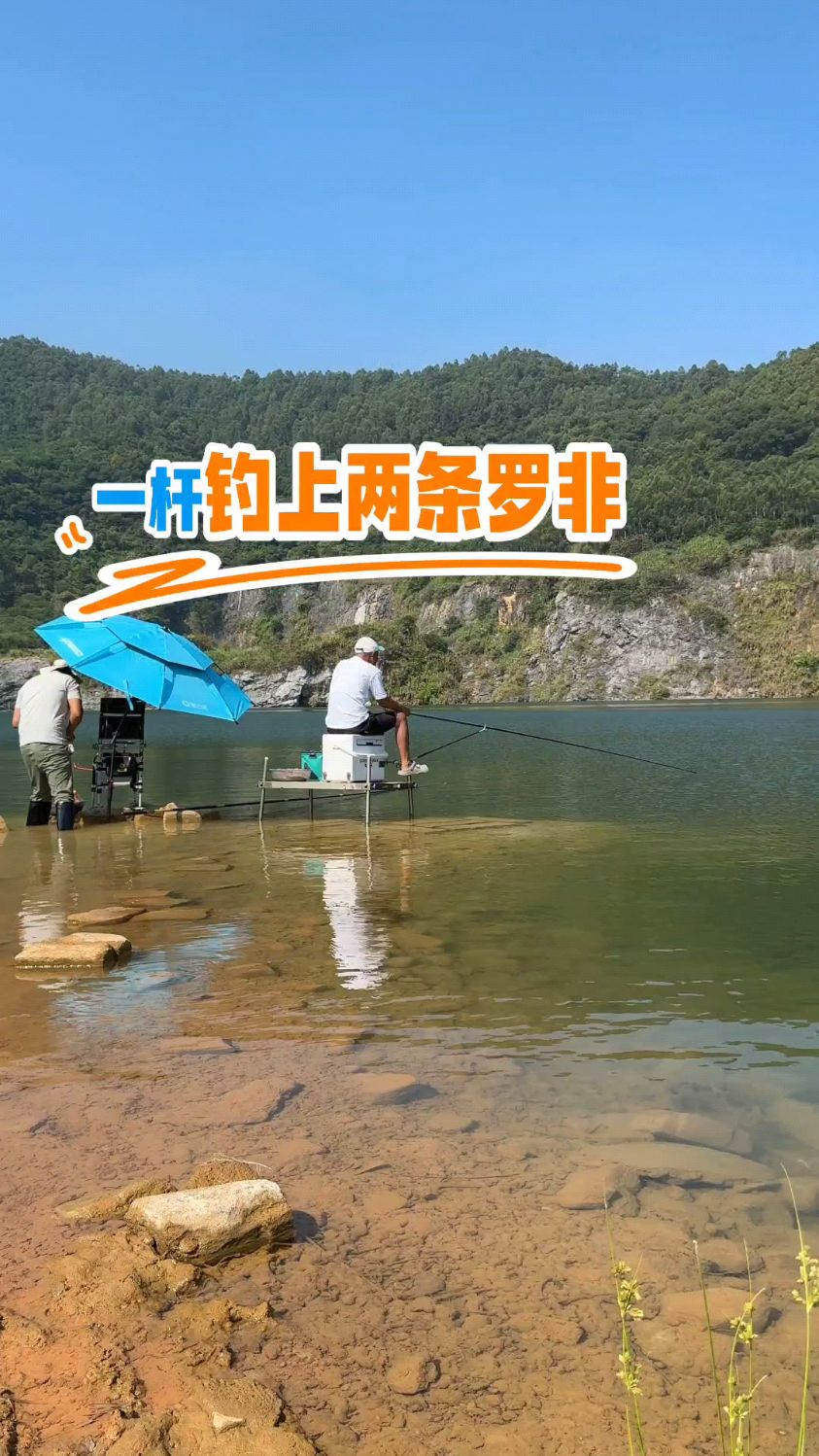 湖里野钓罗非鱼,湖水太清,可惜没有甲鱼
