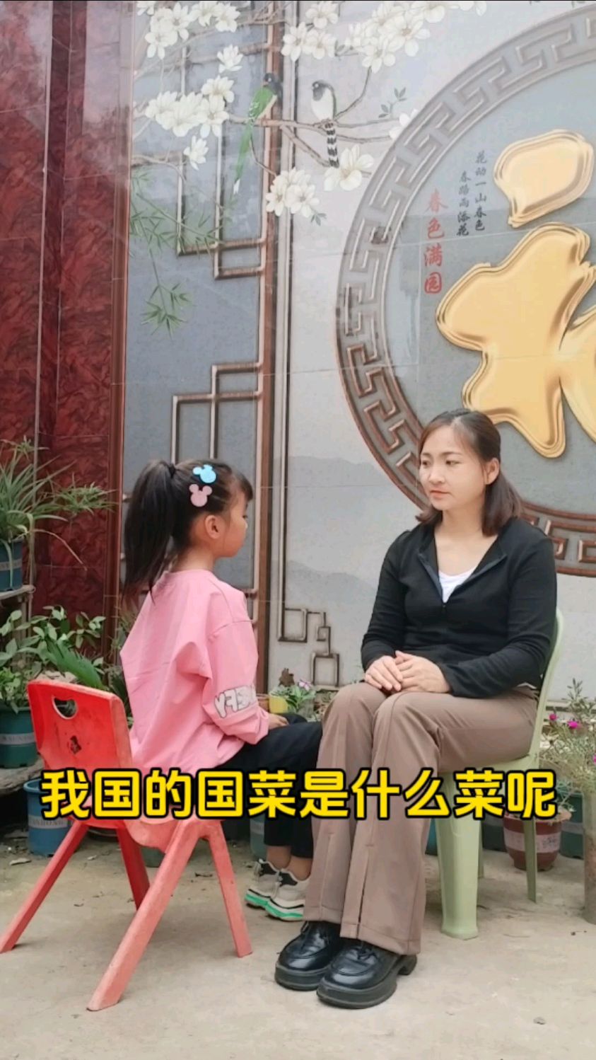 我国的国菜是什么菜?