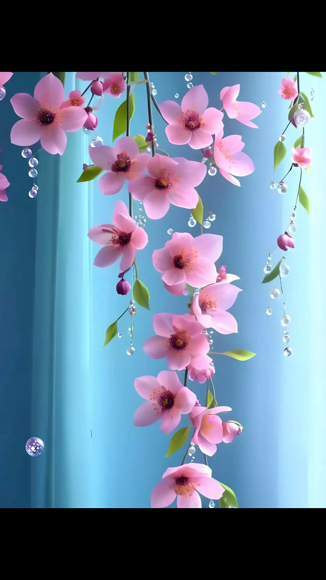 高清手机壁纸分享!