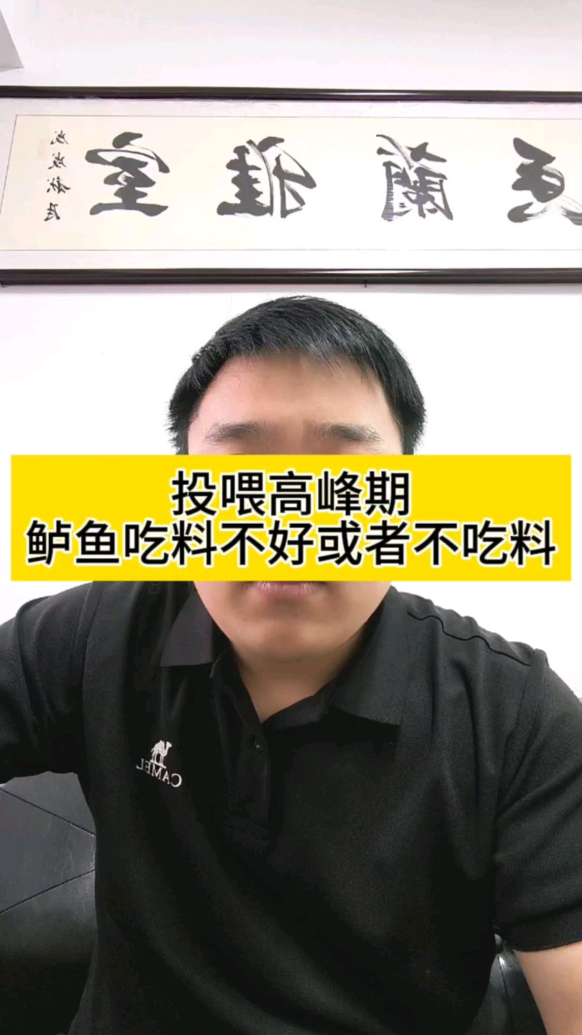 投喂高峰期鲈鱼吃料不好或者不吃料怎么办