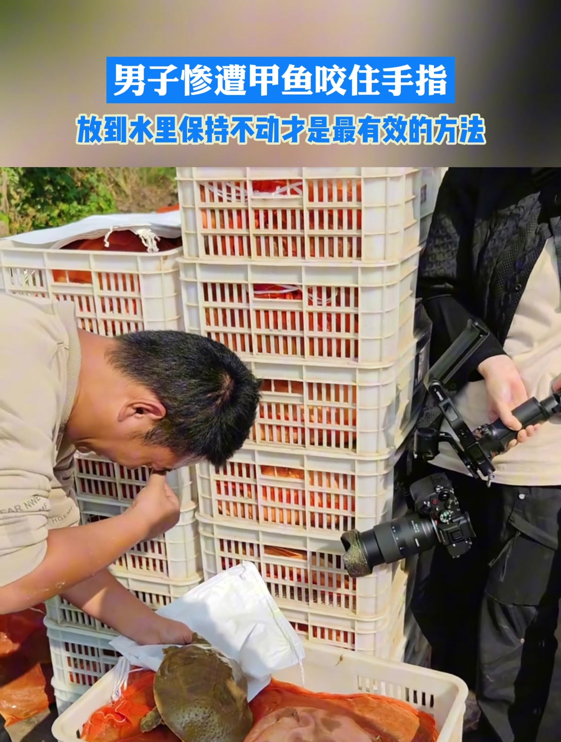 男子惨遭甲鱼咬住手指,放到水里保持不动才是最有效的方法