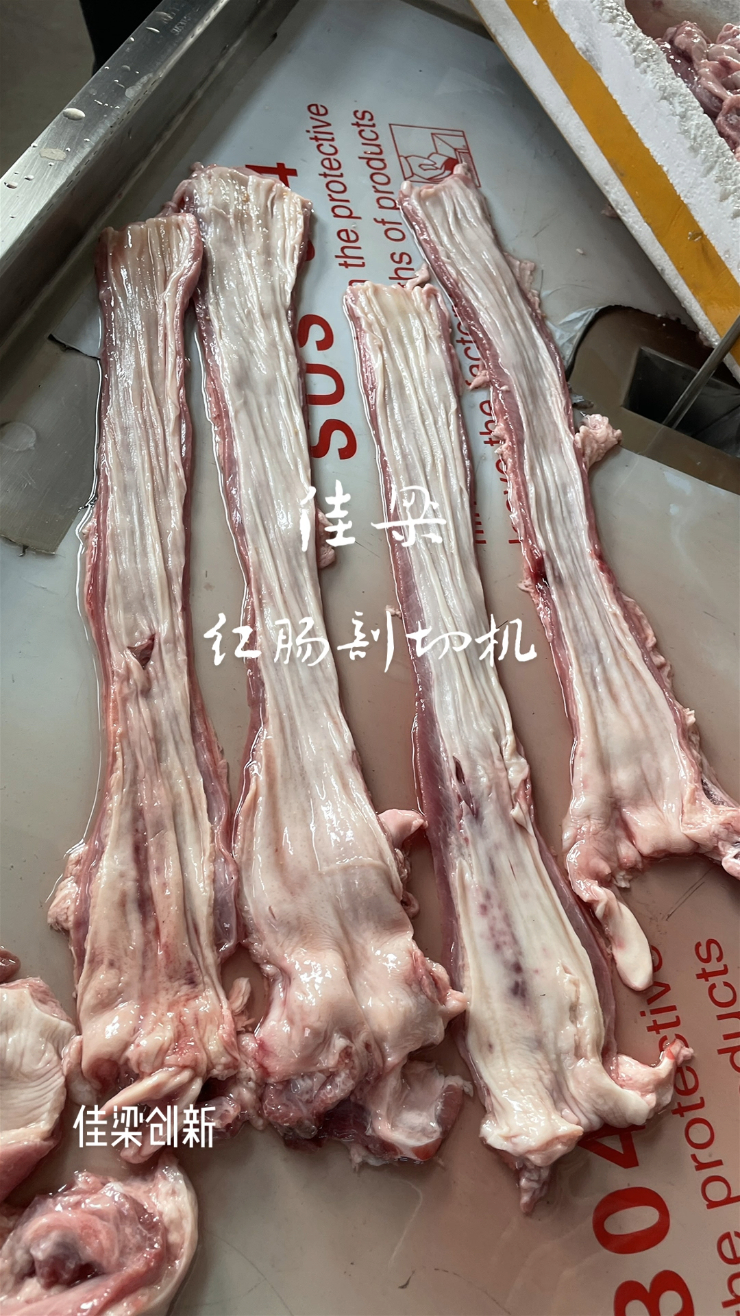 红肠剖切效果-红肠花肠头,鸡鸭鹅肠剖切