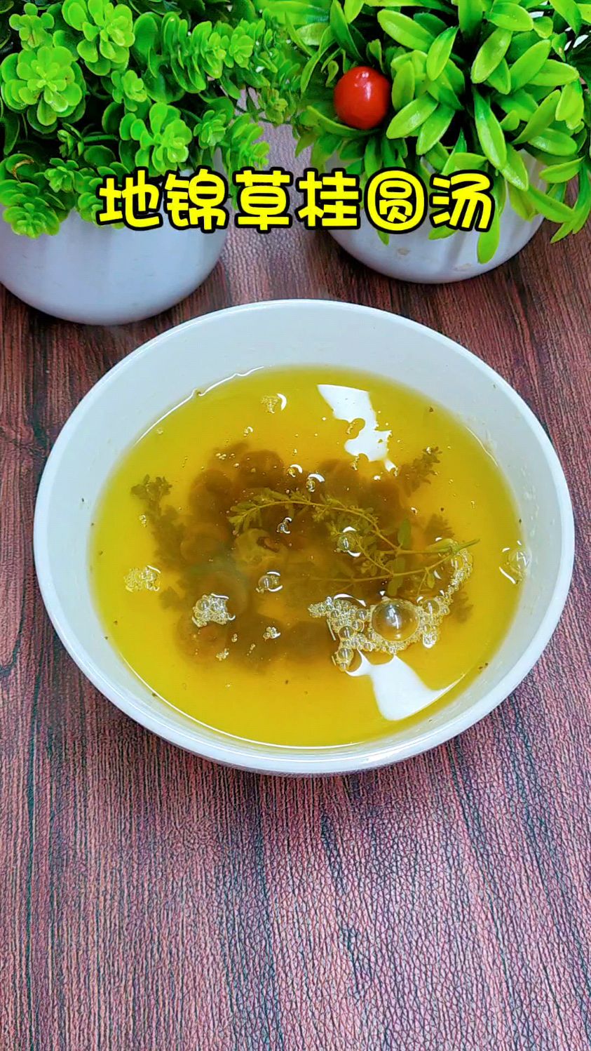 地锦草桂圆汤#地锦草#桂圆汤#美食