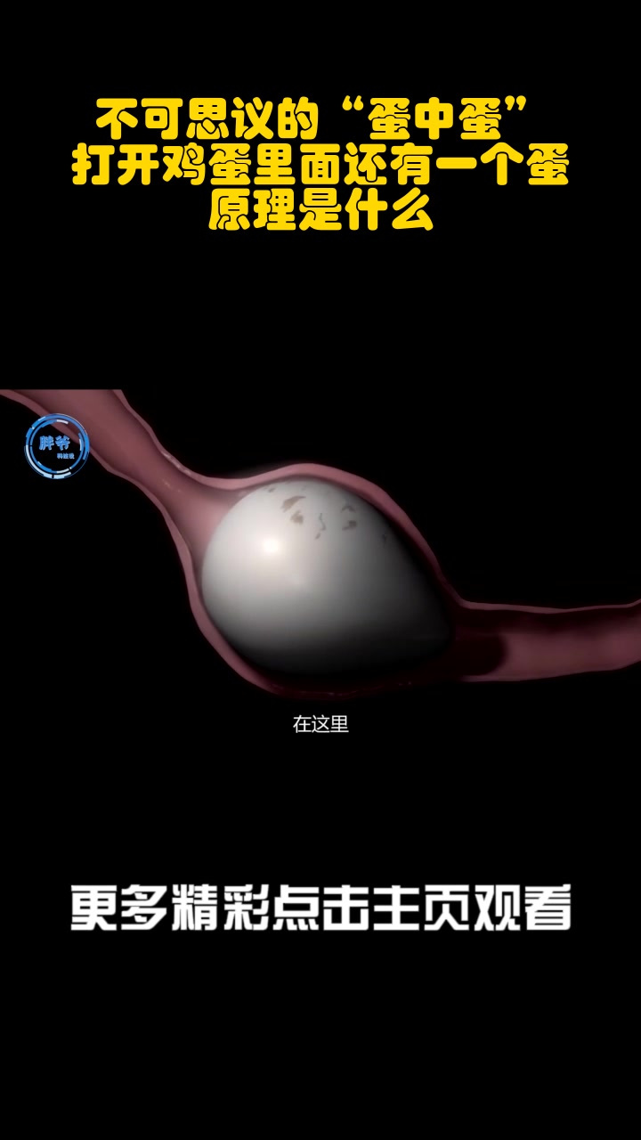 不可思议的“蛋中蛋”,打开鸡蛋里面还有一个蛋,原理是什么?_2