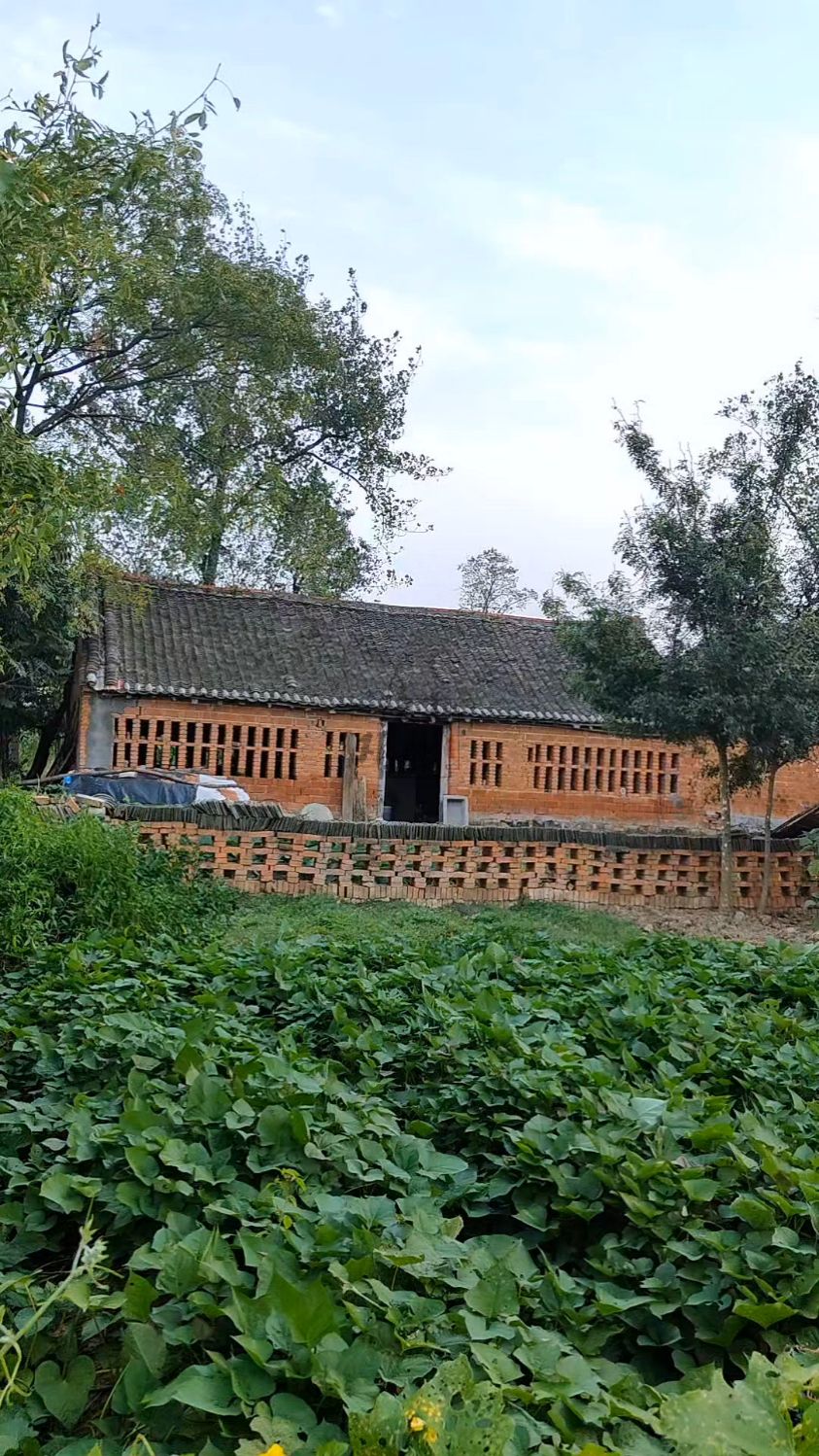 在河南有个地方,饺子叫扁食,蚯蚓叫出川,捉迷藏叫藏老闷儿