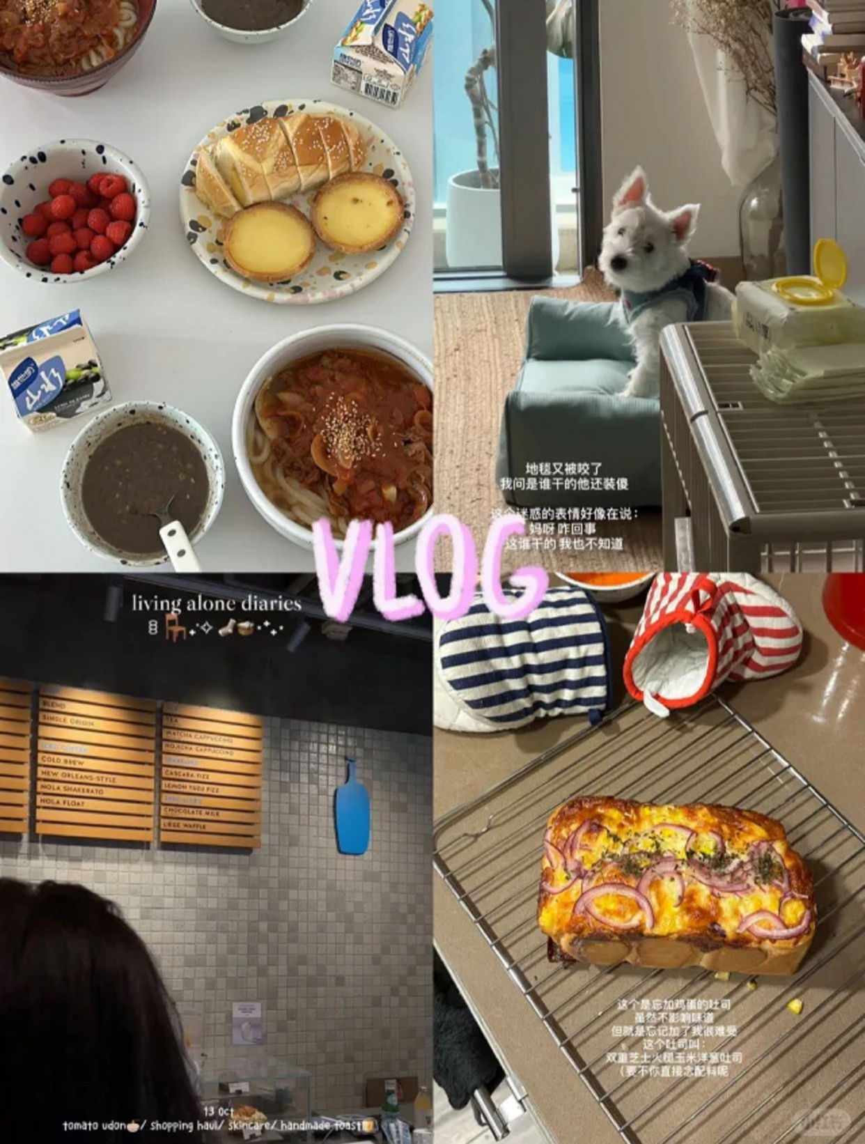 周末VLOG|番茄牛肉乌冬面*漂亮小东西开箱