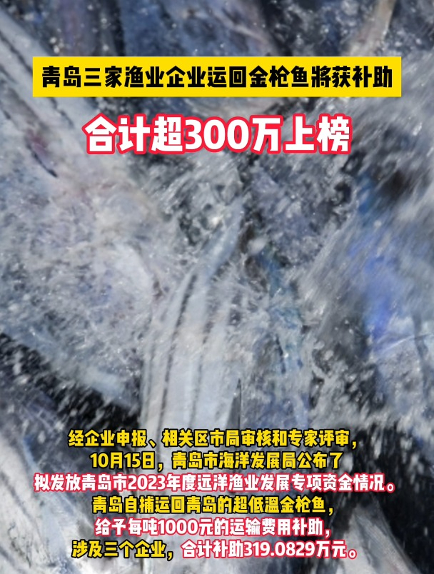 青岛三家渔业企业运回金枪鱼将获补助,合计超300万