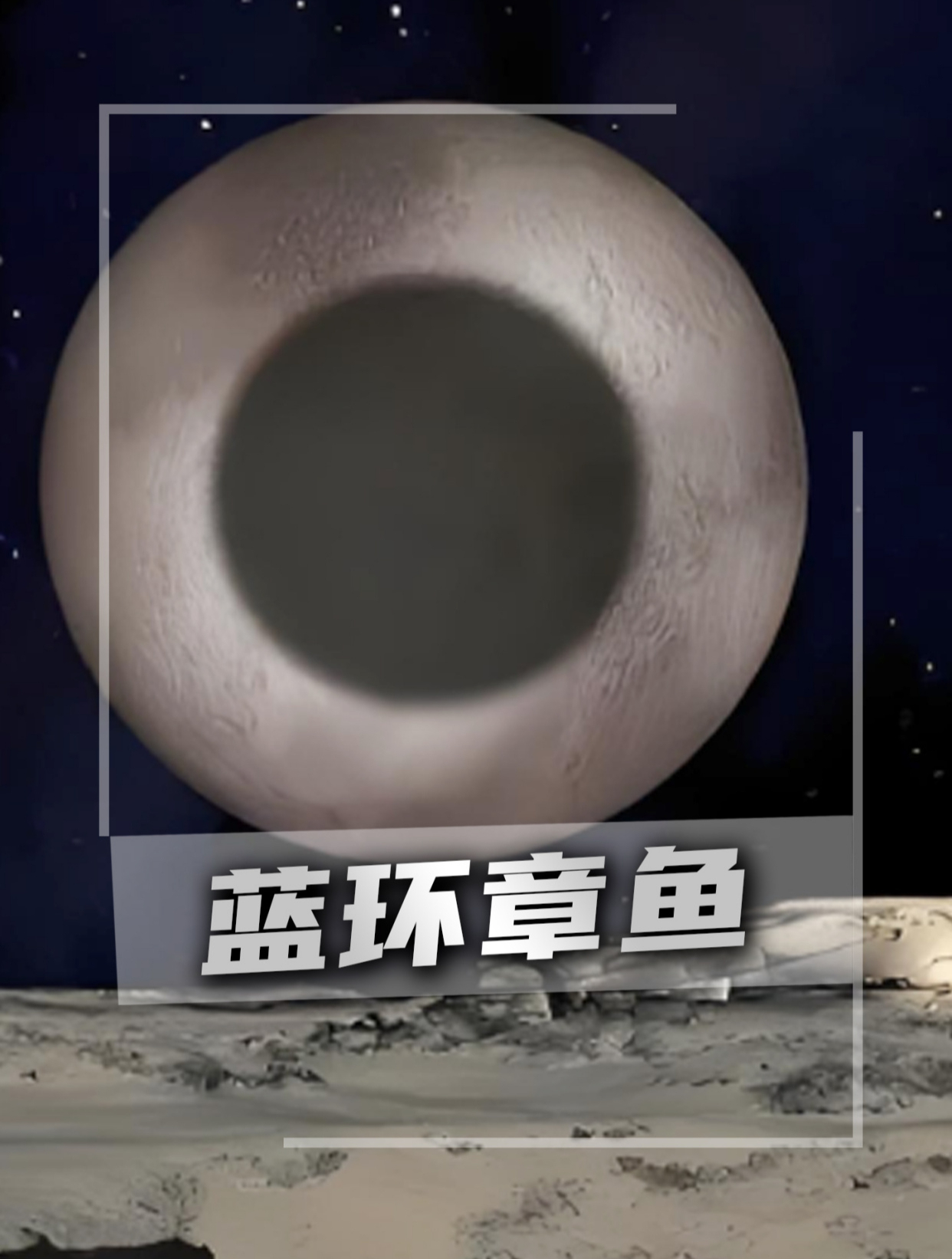 蓝环章鱼 蓝环章鱼的毒有多可怕