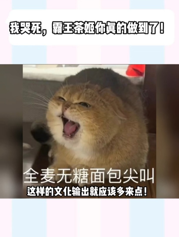 “以东方茶 会世界友”我宣布:被霸王茶姬狠狠拿捏住了!
