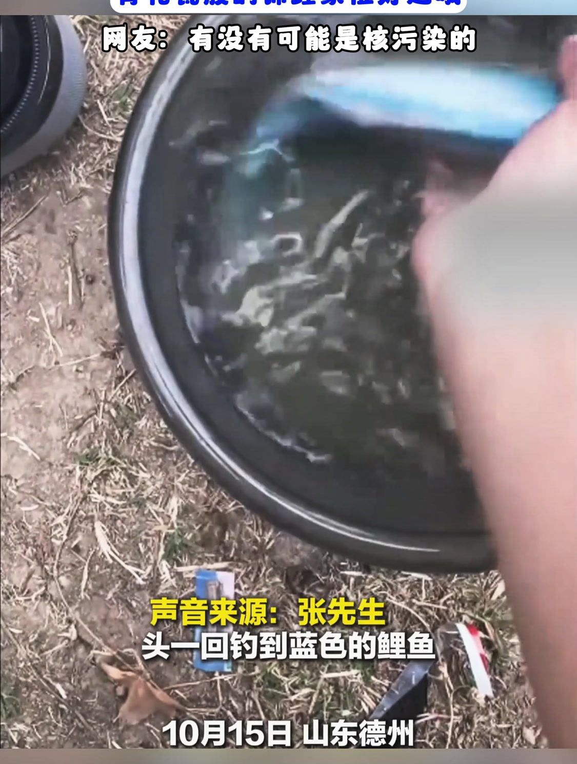 男子钓到蓝色鲤鱼,青花瓷般的锦鲤象征好运哦