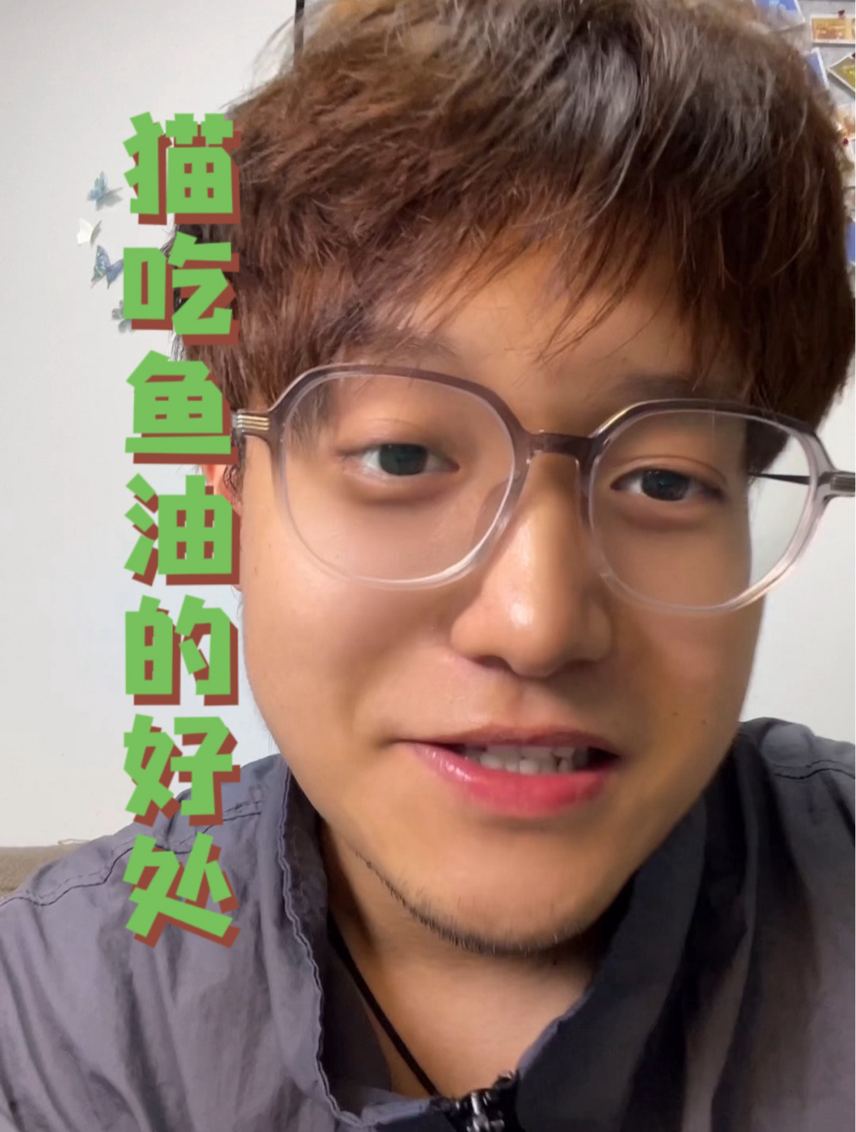 猫为啥要吃鱼油,有什么用?