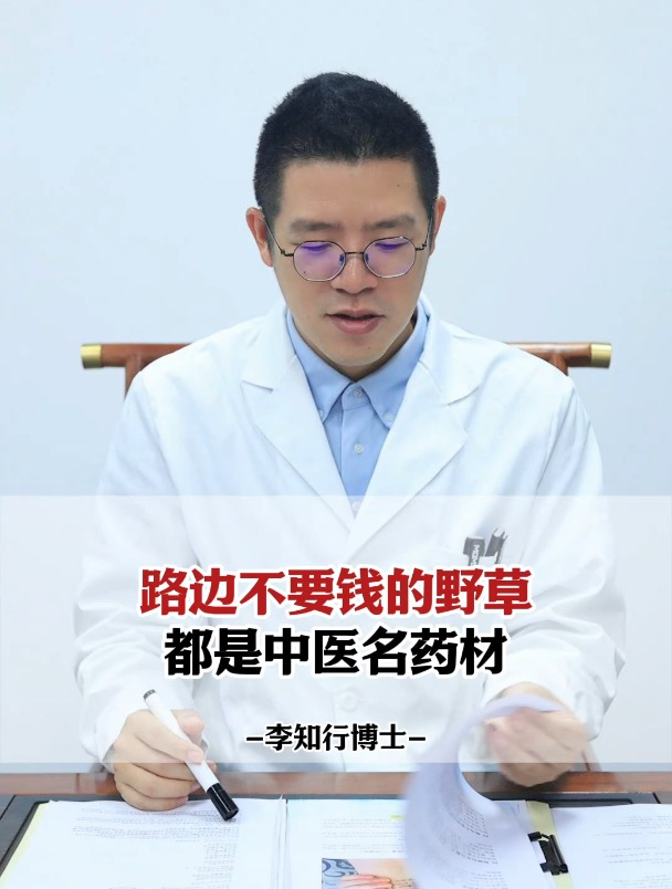 路边不要钱的野草,都是中医名药材