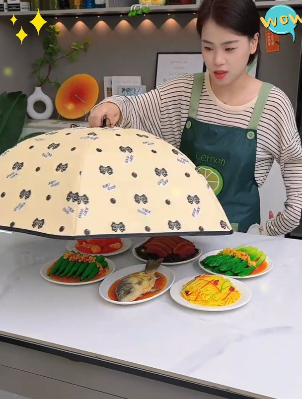 告别冷饭冷菜!高品质折叠保暖菜罩,锁住温度,享受每一刻美味!